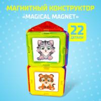 Магнитный конструктор Magical Magnet